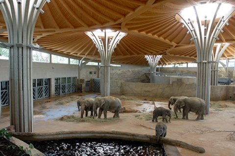 Vier große und drei kleine Elefanten befinden sich in einem großen überdachten Gehege. Sie fressen Heu, das auf dem Boden liegt. Im Vordergrund trinkt ein kleiner Elefant aus einem großen Wasserbecken.