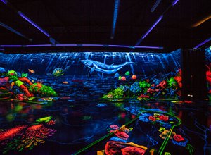 In einer verdunkelten Halle leuchtet eine bunte Welt aus 3D- und Schwarzlichteffekten. An einer Wand sieht man einen großen, blau-leuchtenden Wal, auf den Boden leuchten bunt schillernde Objekte.