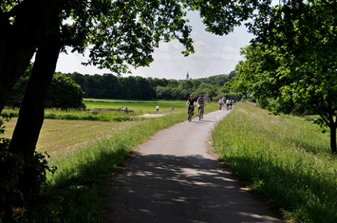 Auf einem Weg durch Felder fahren mehrere Radfahrer und Radfahrerinnen. Links und rechts der Wiesen stehen Bäume, im Hintergrund ragt ein Kirchturm heraus.