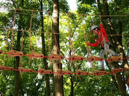 Ein Kind mit Helm balanciert über eine Hängebrücke zwischen Bäumen.